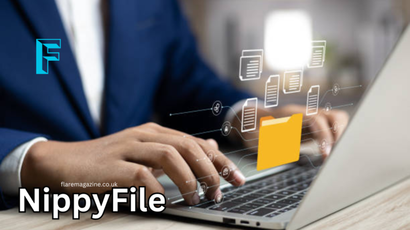 Nippyfile: Features, Easy To Use and Download Process