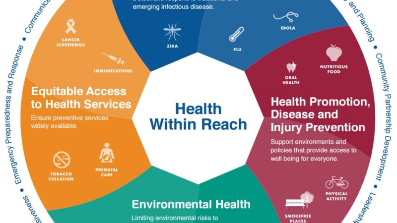 Exploring PHMHaven: A Comprehensive Guide to Public Health Management in 2024